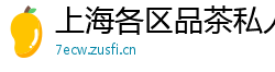 上海各区品茶私人工作室